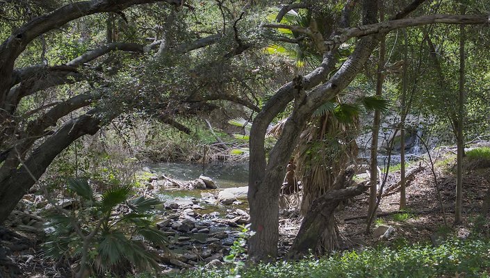 The-Park-Calabasas-Park-012