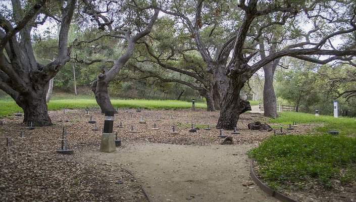 The-Park-Calabasas-Park-117