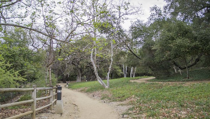 The-Park-Calabasas-Park-126