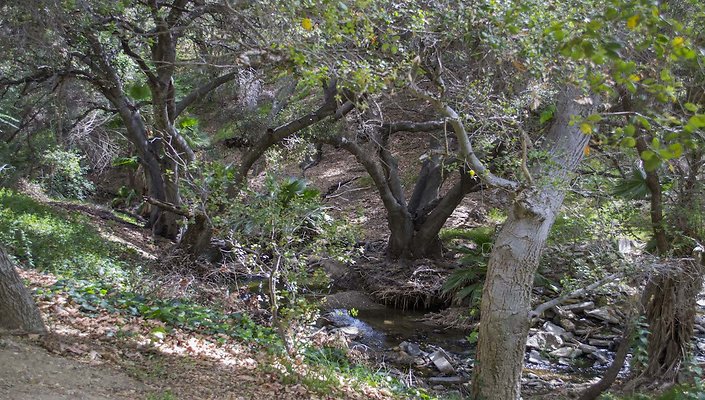 The-Park-Calabasas-Park-014