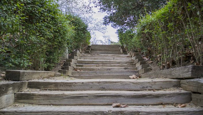 The-Park-Calabasas-Park-048