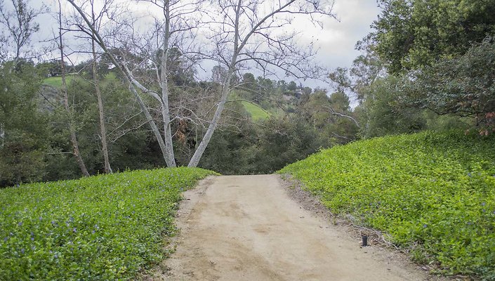 The-Park-Calabasas-Park-008