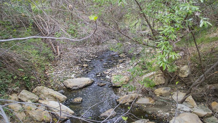 The-Park-Calabasas-Park-078