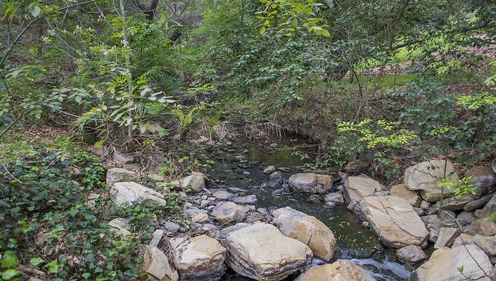 The-Park-Calabasas-Park-053