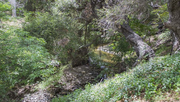 The-Park-Calabasas-Park-006