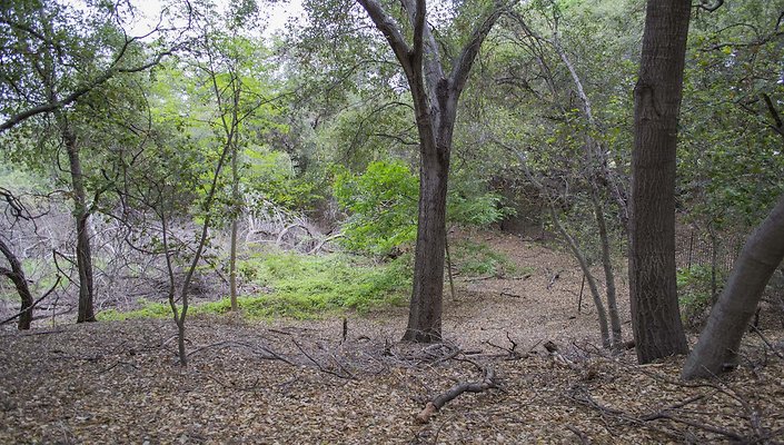 The-Park-Calabasas-Park-112
