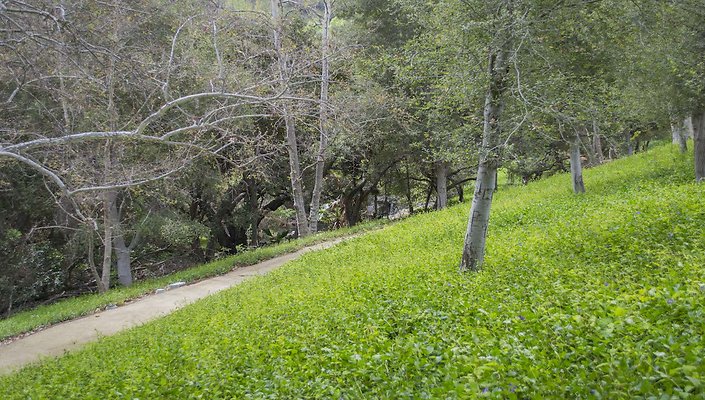 The-Park-Calabasas-Park-001