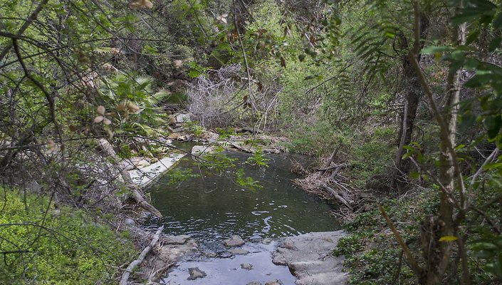 The-Park-Calabasas-Park-018