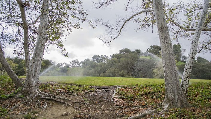 The-Park-Calabasas-Park-041