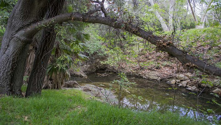 The-Park-Calabasas-Park-061