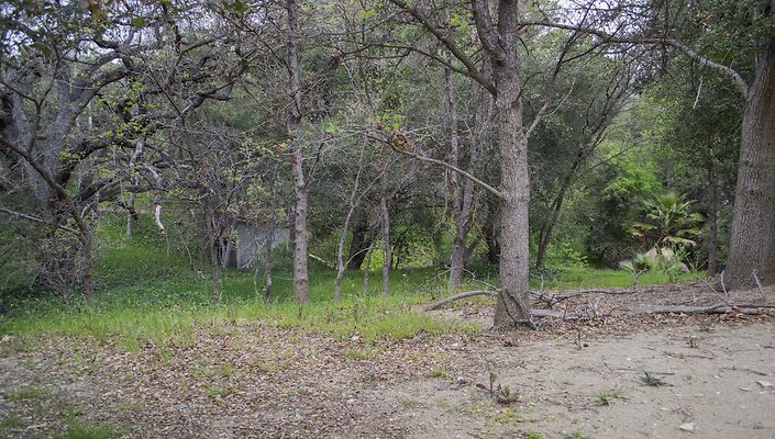 The-Park-Calabasas-Park-033