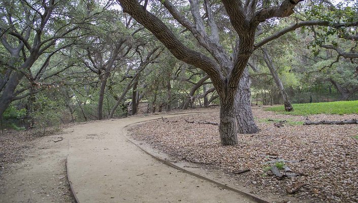 The-Park-Calabasas-Park-116