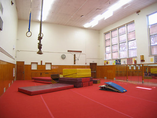 Wilson-Gymnastics-1