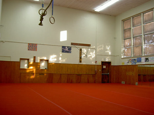 Wilson-Gymnastic-Floor