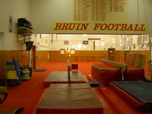 Wilson-Gymnastics-Wall-view