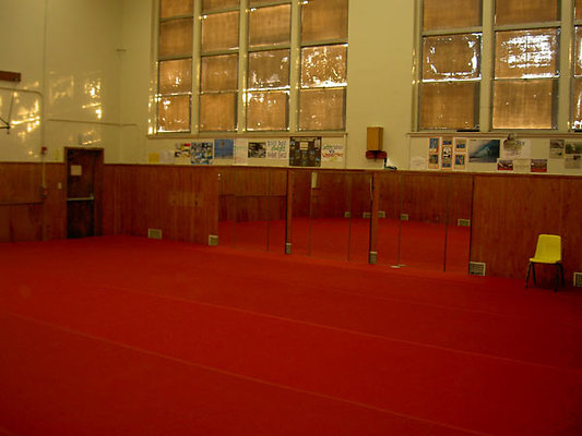 Wilson-Gymnastics-Mirror