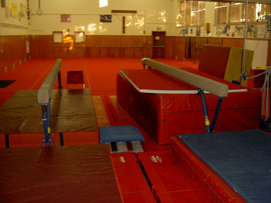 Wilson-Gymnastics-Pads