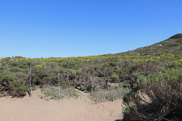 PointDume SP N - 80 of 81