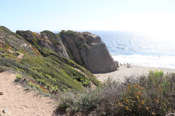 PointDume SP N - 66 of 81