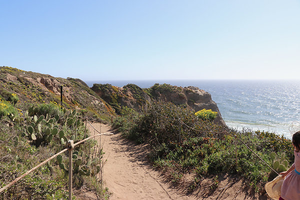 PointDume SP N - 73 of 81