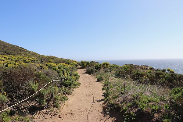 PointDume SP N - 81 of 81