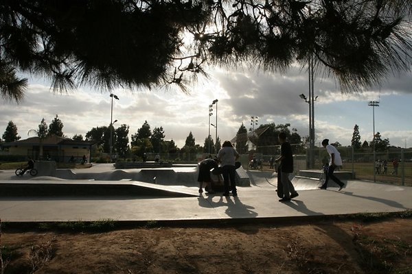 Belvedere skatepark - 074