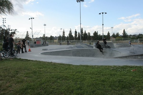 Belvedere skatepark - 101