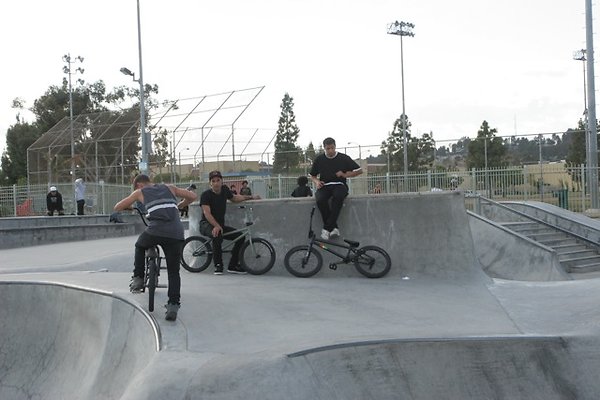 Belvedere skatepark - 098