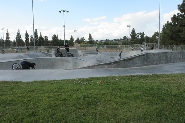 Belvedere skatepark - 100