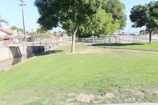 Bellflower Caruthers Skatepark - 114
