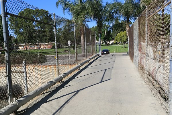 Bellflower Caruthers Skatepark - 115