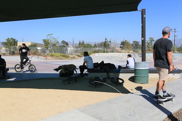 Sheldon skatepark - 78
