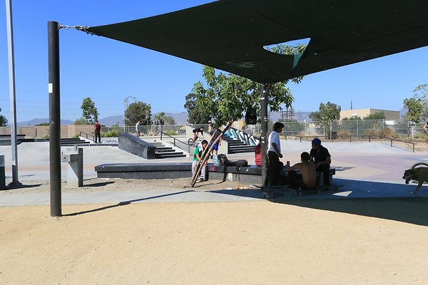 Sheldon skatepark - 79