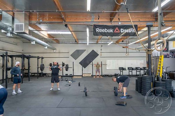 Image gym-33