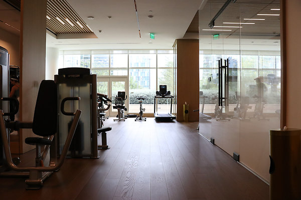 Thea Gym