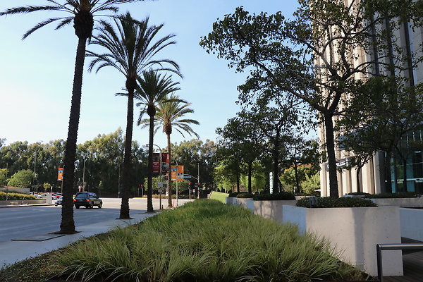 HL Plaza  - 194 of 214
