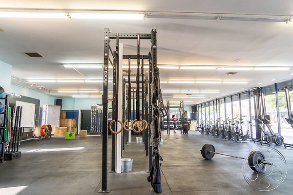 gym-10