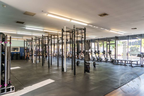 gym-10-2