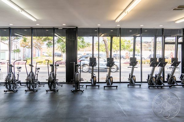 gym-10-6
