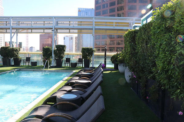 Image Rooftop 4 1010 - 31 of 53