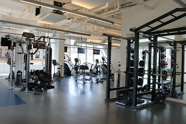 Image Loft 3 - 12 of 283