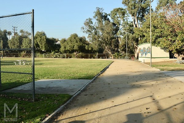 meyler 3548 028