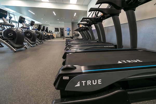 thefitnesscenterisback