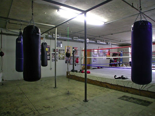 4179 boxing 3