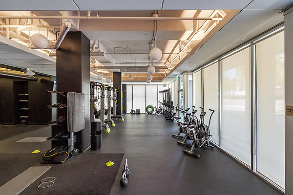 Gym #15 Koreatown