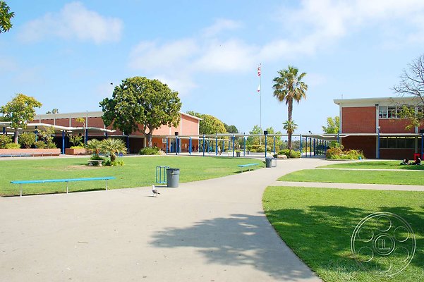 school-6-8