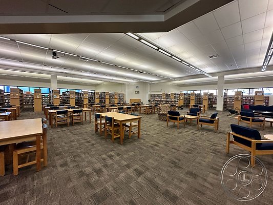 south-bay-school-156
