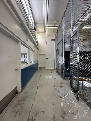 south-bay-school-107