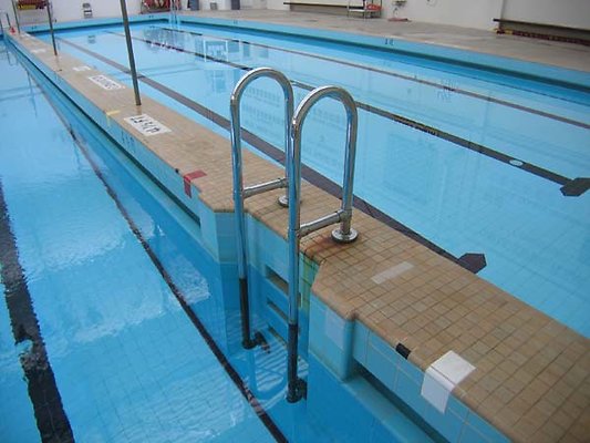 Wilson-Pool-Ladder