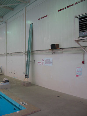 Wilson-Diving-Board